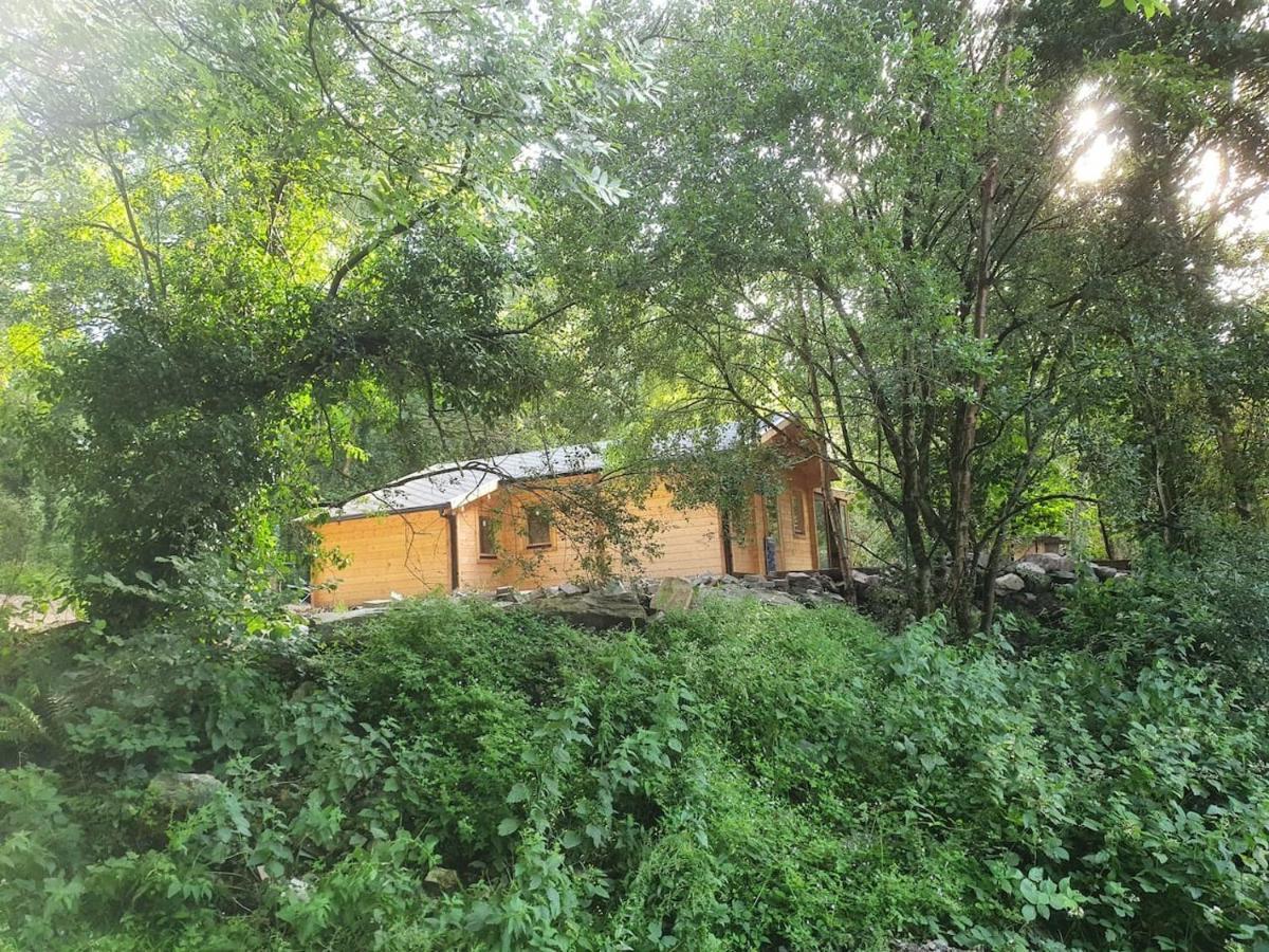 Stunning Log Cabin On The Lake Villa Portroe Exterior photo